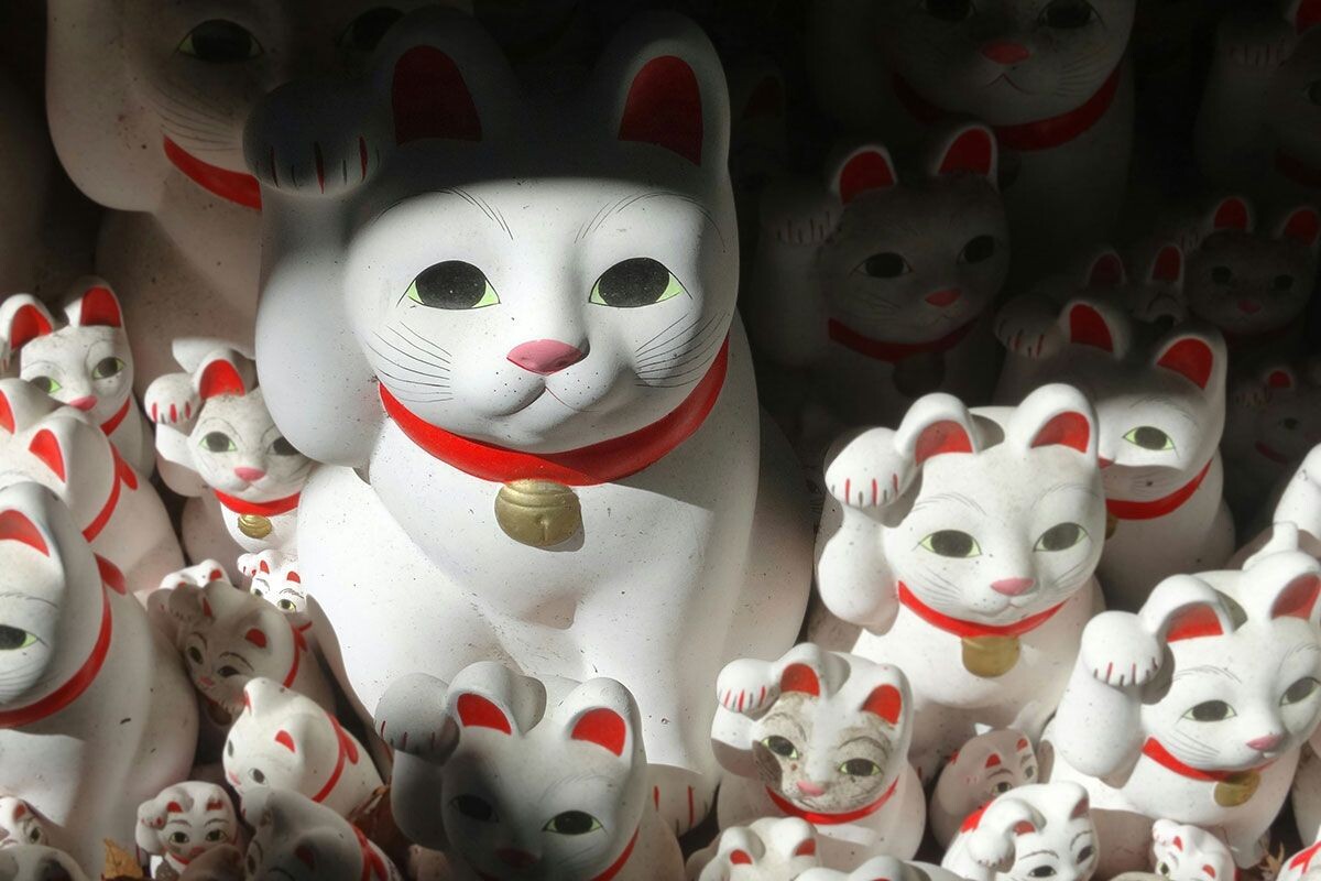    Фото: Melvina Mak / Unsplash.com