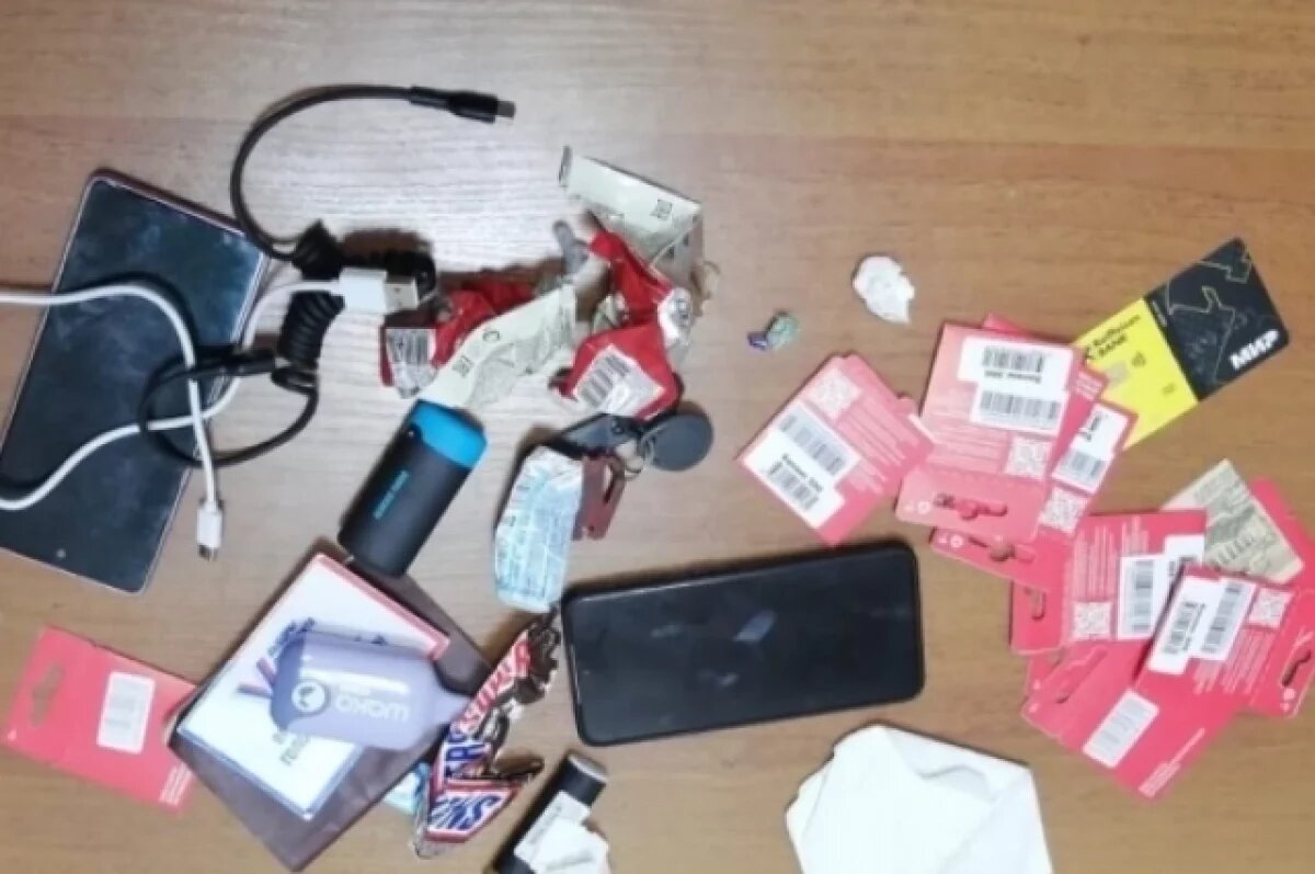    В Сызрани 2 студента взламывали страницы жителей региона и оформляли займы