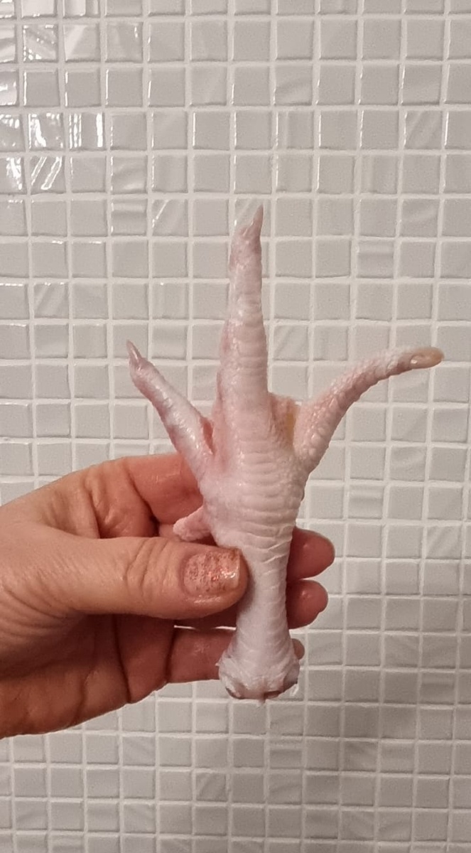 Куриные лапки. Фото автора.