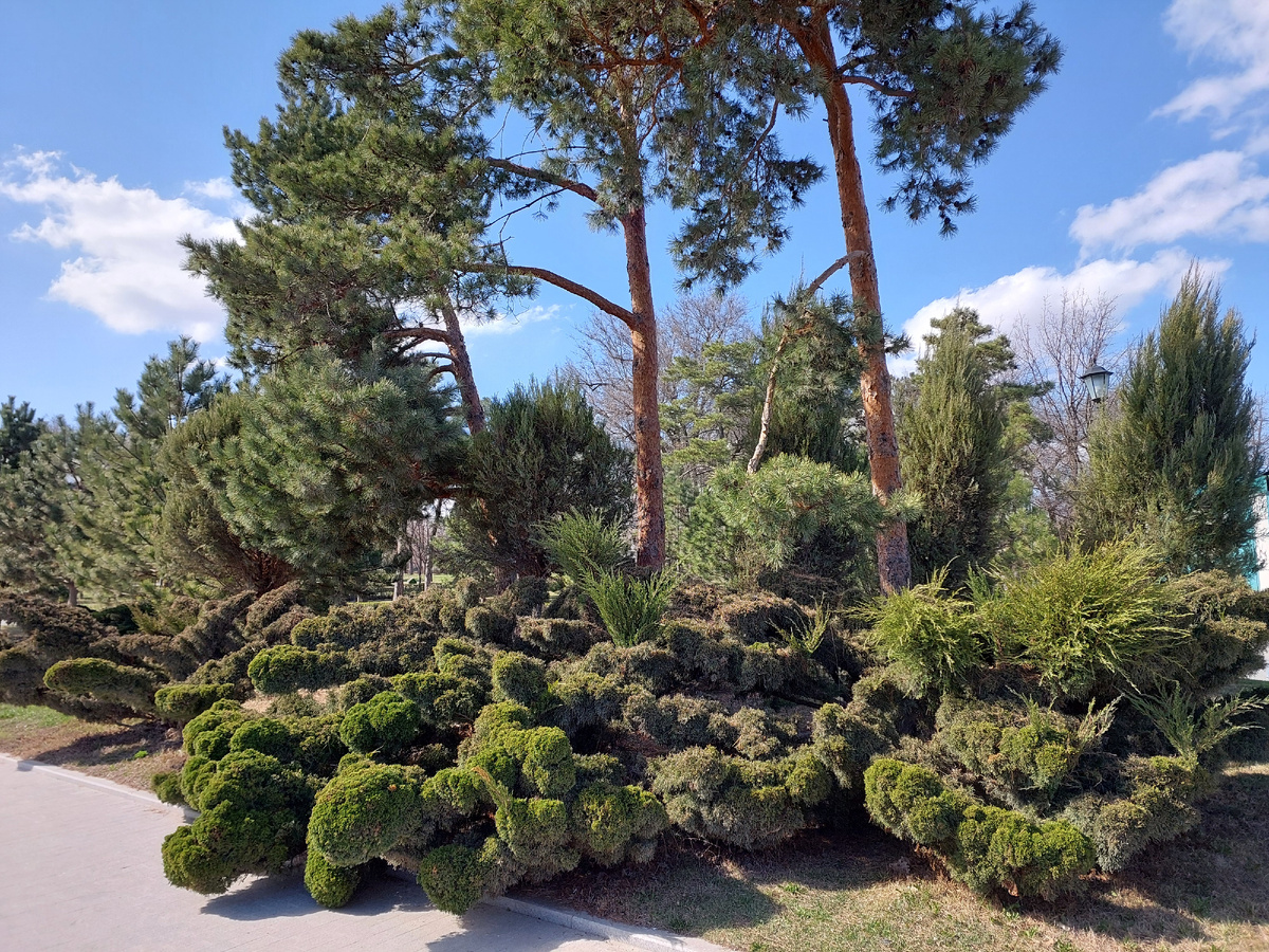 Клумба на территории кремля.