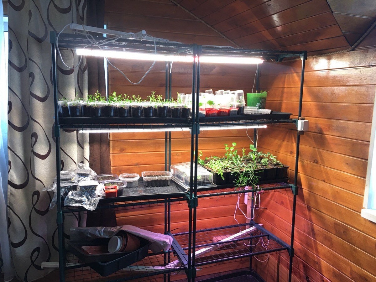 Стеллажи в доме