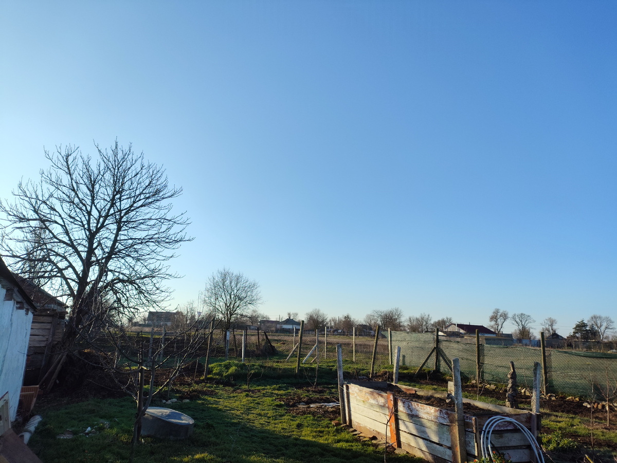 Такое ясное и доброе утро