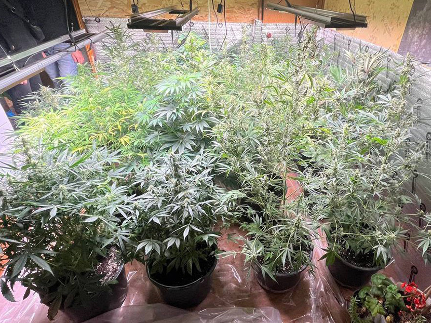 Фото: МВД РФ по ДНР