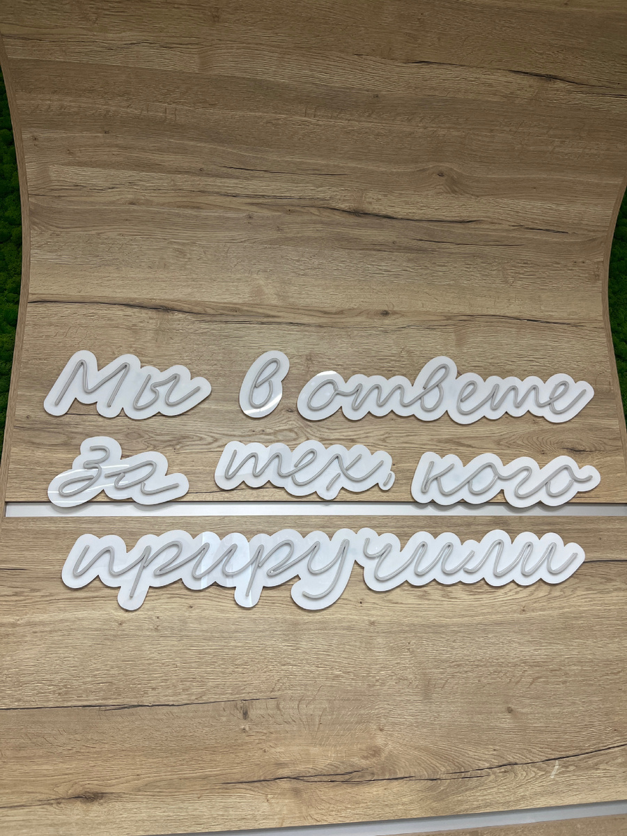 После 3-х лет счастливой и беззаботной жизни питомца,необходимо делать различные обследования для скорого обнаружения каких-либо проблем со здоровьем.