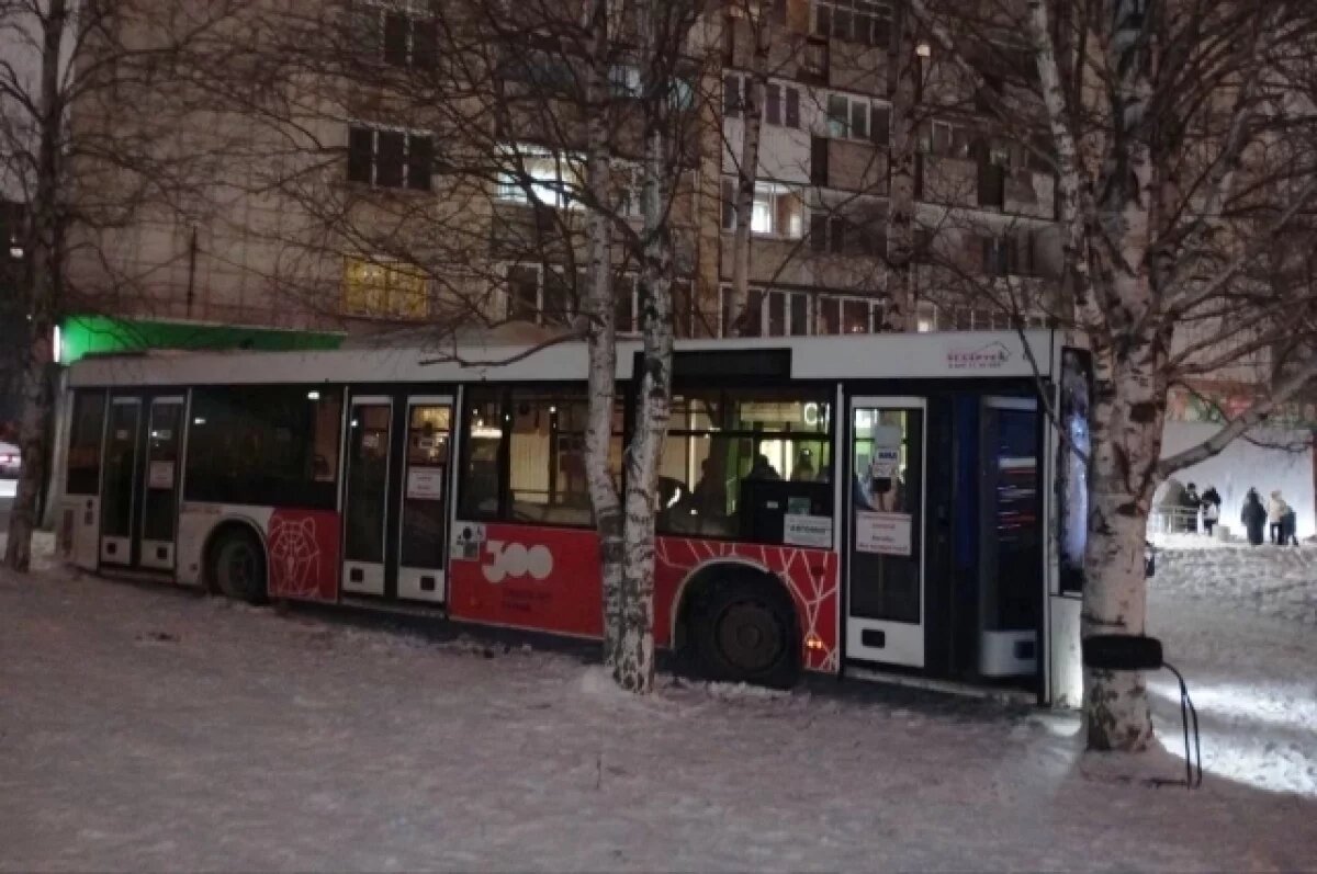    Водитель не смог выбраться и застрял между двух берёз.