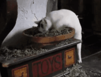 Штирлиц никогда не был так близок к провалу как сейчас....