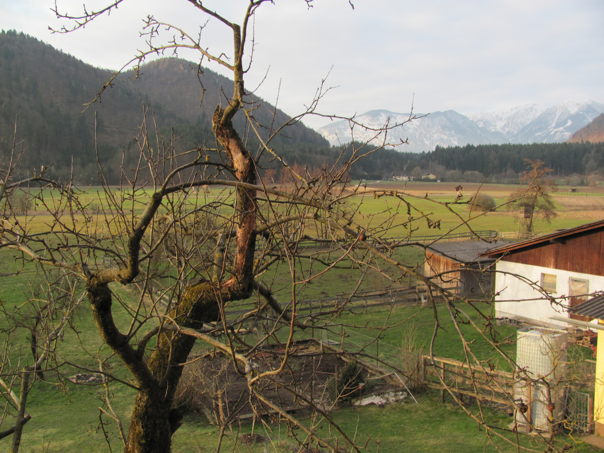 Воспоминания