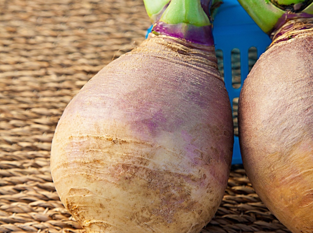  Брюква Красносельская