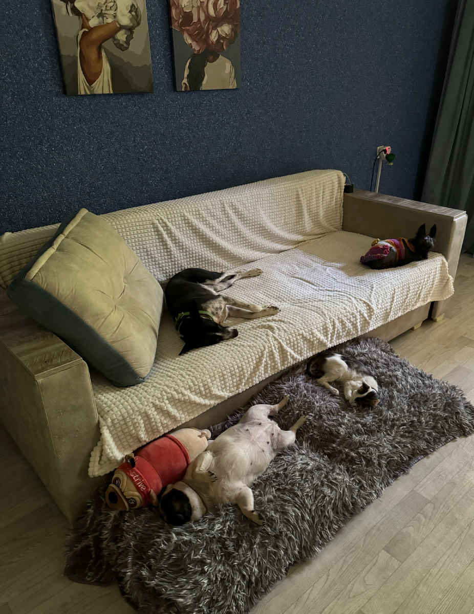 У деток тихий час 💤 