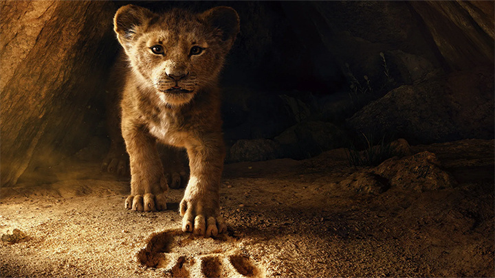    "Я царь зверей, моя кровь от отца", - этот тезис подтверждается вот этим кадром: лапка маленького Симбы в следе лапы большого льва Муфасы. Стоп-кадр фильма "Король Лев" 2019 года.