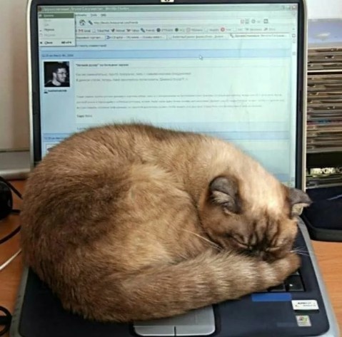 Вот кто взломал данные США!