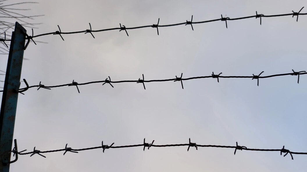    фото: Maksim Konstantinov/Global Look Press