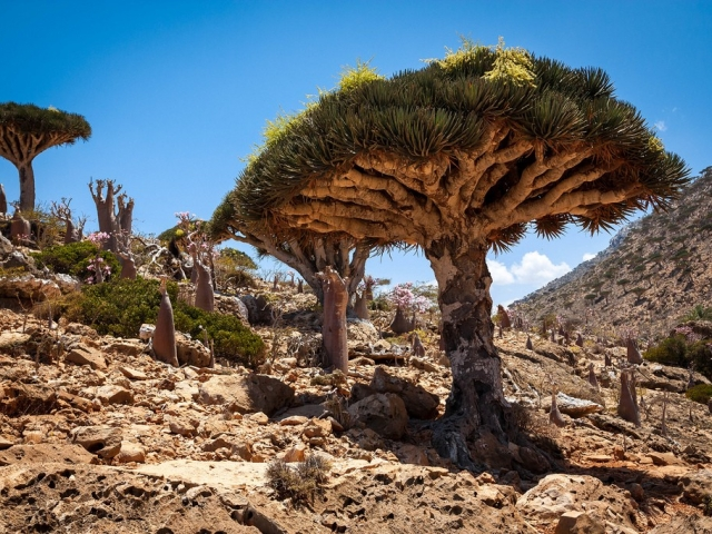 Источник фото: https://www.instaspot.com/photonews/6499.html