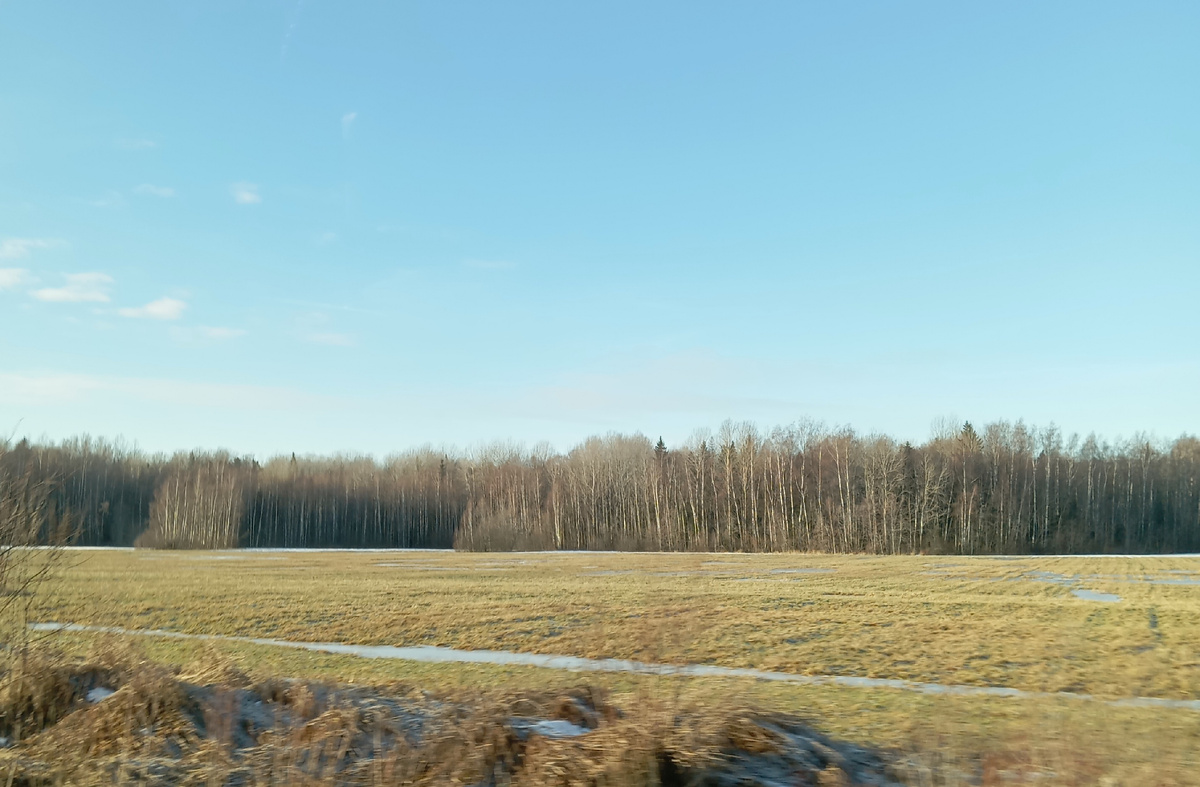 Наши поля без снега. 19 января. По пути в деревню. 