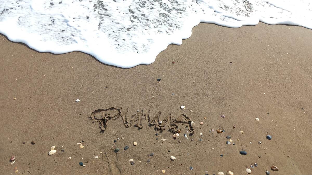 До свидания, мой любимый и самый лучший в мире котик!