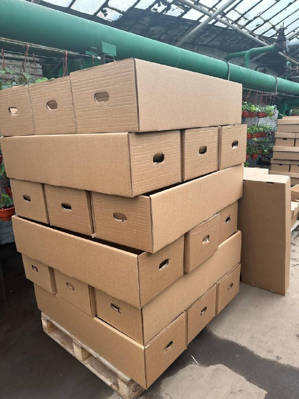 Коробка выглядит вот так 
500 штук