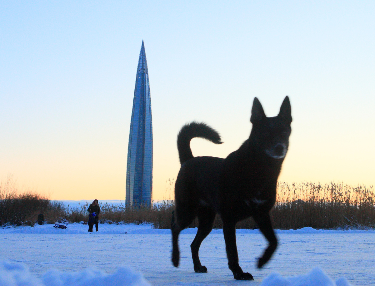 © Zamir Usmanov/Global Look Press