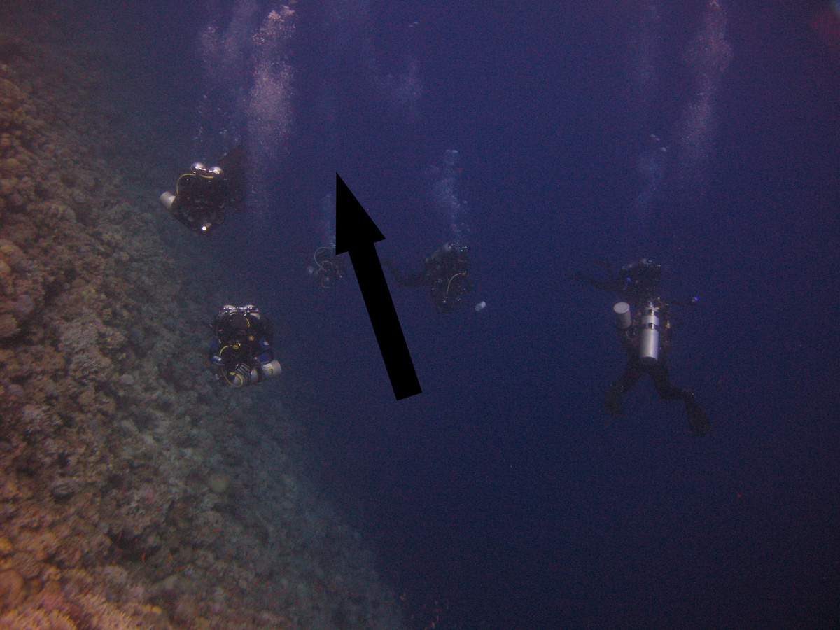    Неприступная бездна