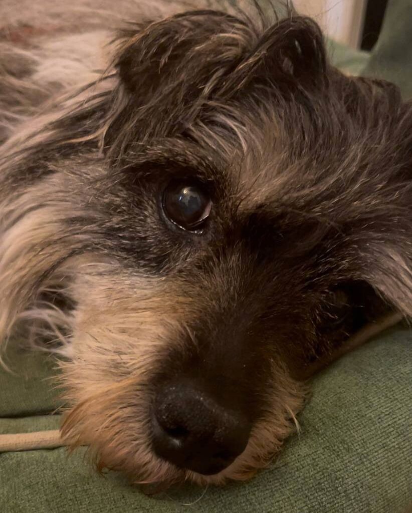 Тоша отдыхать изволит