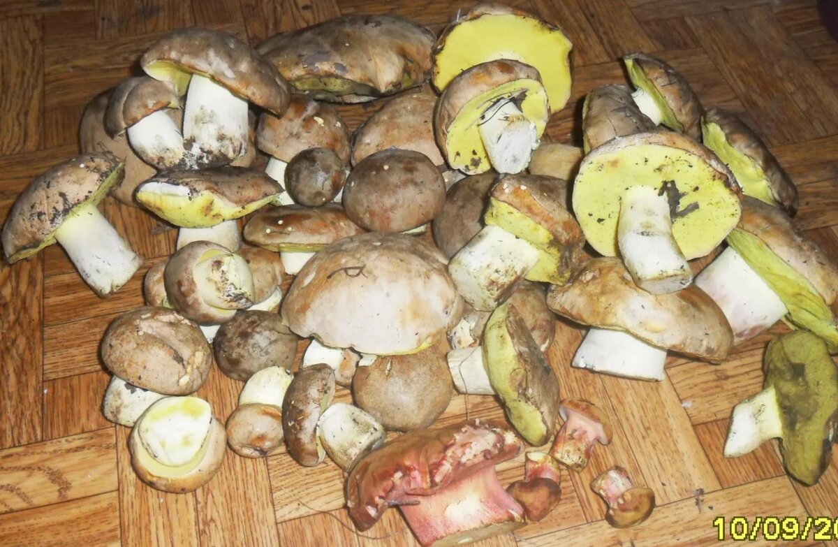 фото из архива, ориентировочно 2020 год