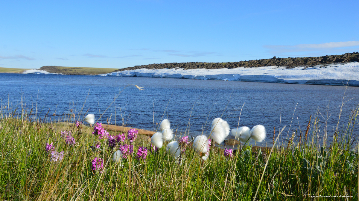 Бухта Медуза