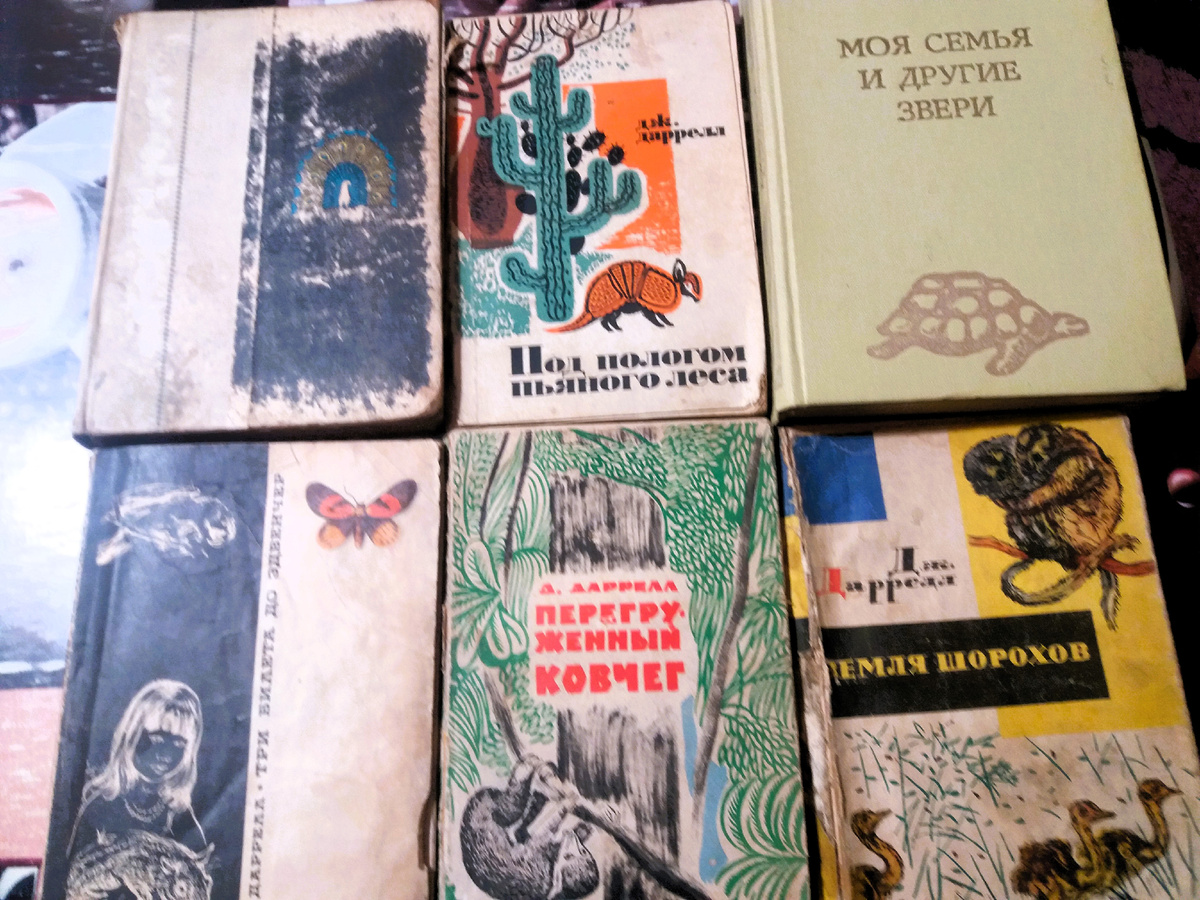 Фото автора