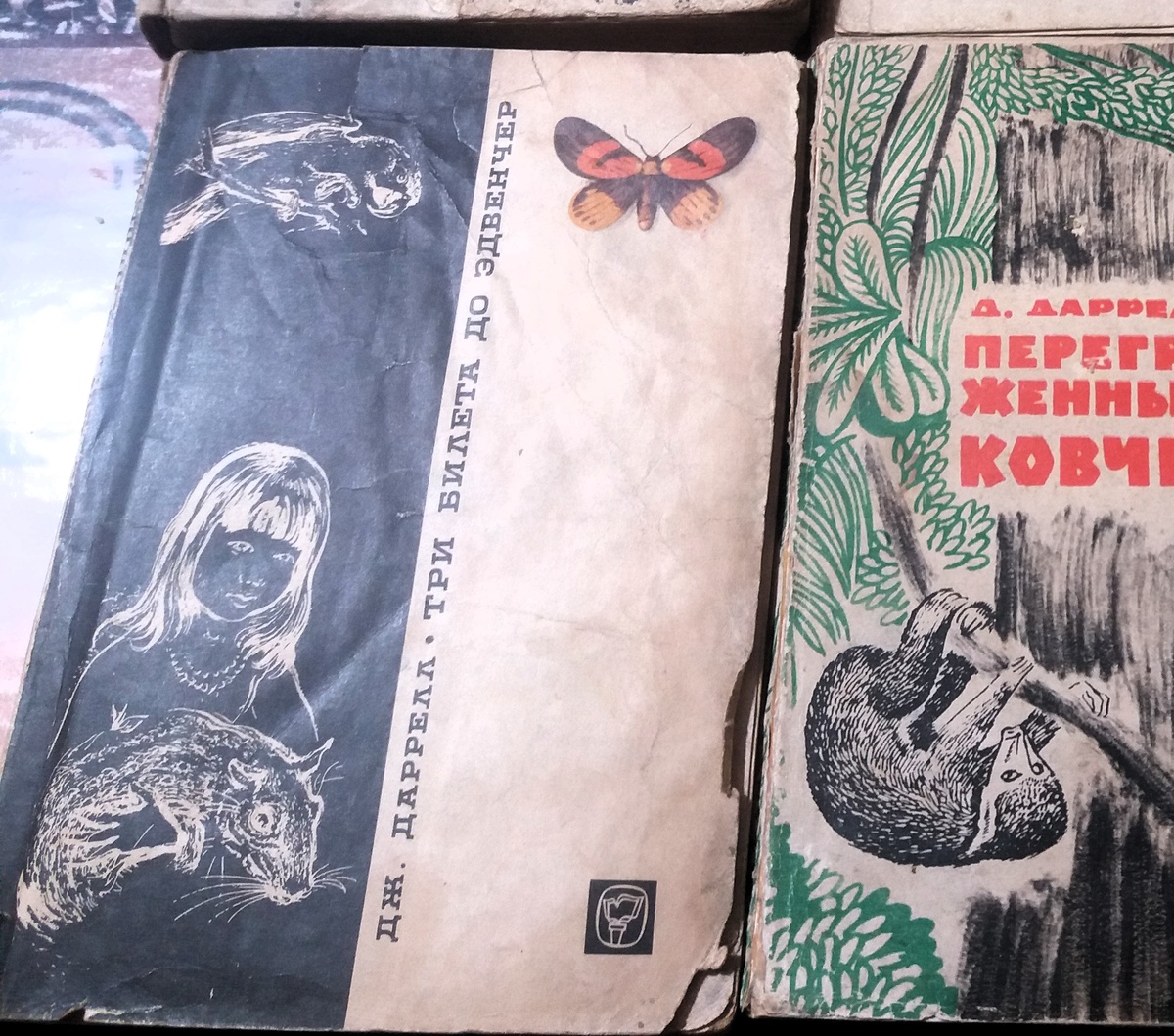 Фото автора