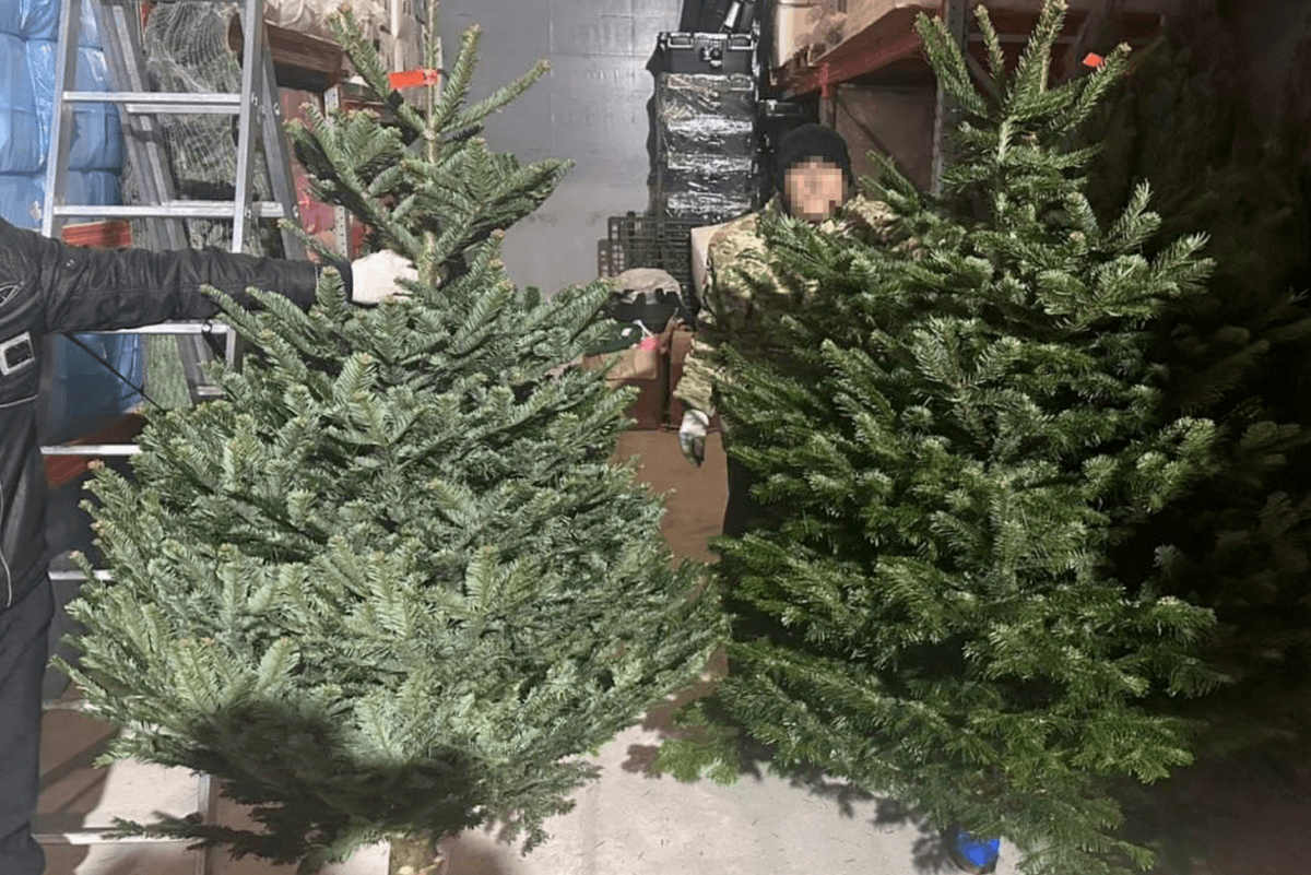  Датская ёлка за солидную сумму принесла москвичу весьма неожиданный и неприятный сюрприз. @Mash