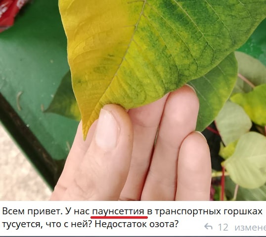 Распространенная ошибка!