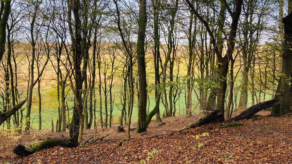    Фото из личных архивов Екатерины Йенсен