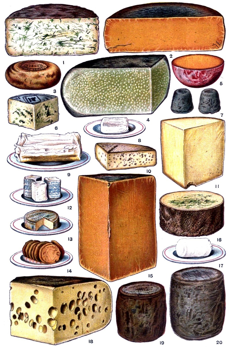 Виды сыров. Иллюстрация из «Книги о ведении домашнего хозяйства Миссис Битон». 1900. Сыр «Стилтон» под номером 16. Добавлю названия всех сыров, что на иллюстрации: 1—Gorgonzola. 2—Double Gloucester. 3—Koboko. 4—Parmesan. 5—Dutch. 6—Roquefort. 7—Schabzieger. 8—Dunragit. 9—York Cream. 10—Port du Salut. 11—Cheddar. 12—Pommel. 13—Camembert. 14—Mainzer. 15—Cheshire. 16—Stilton. 17—Cream Bondon. 18—Gruyere. 19—Wiltshire Loaf. 20—Cheddar Loaf.