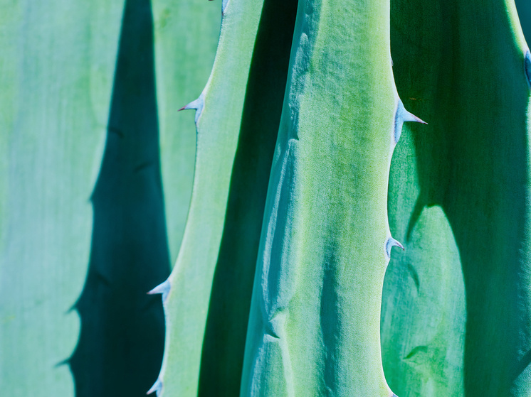     Изображение от ededchechine на Freepik