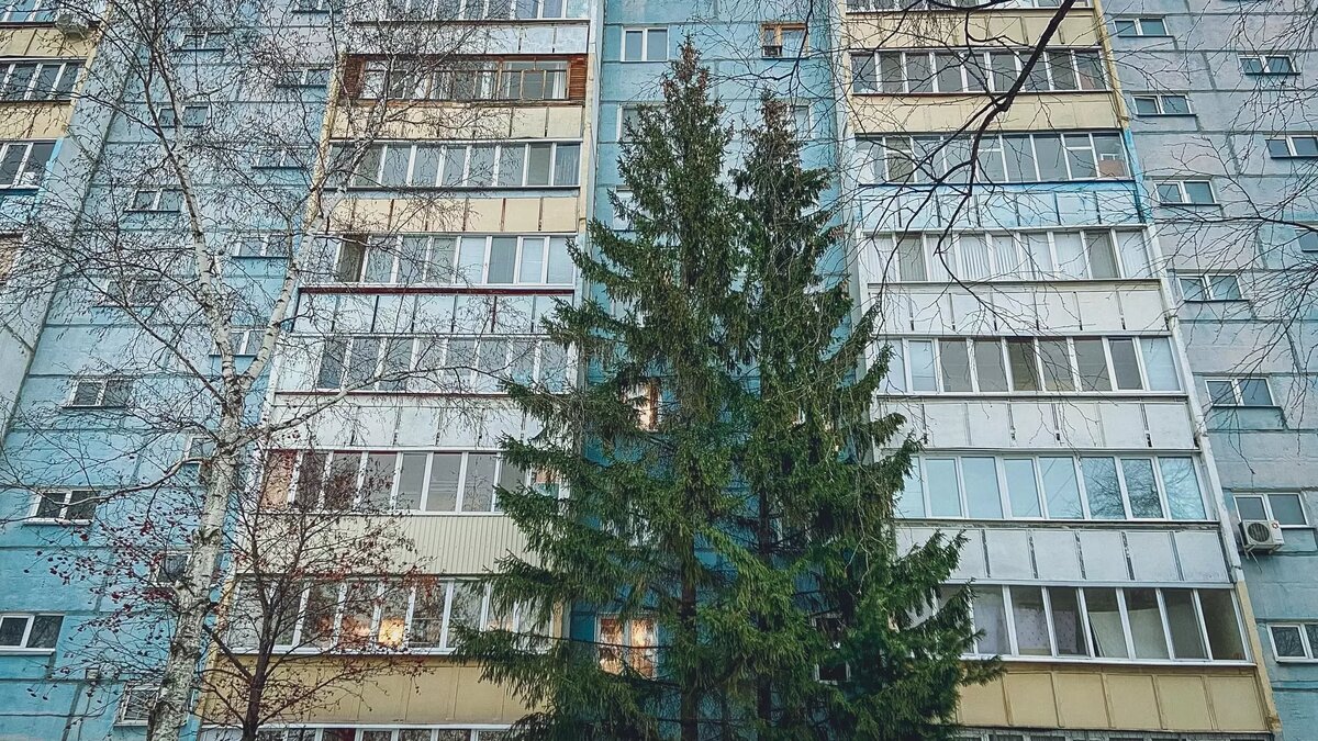     Источник: 1MI