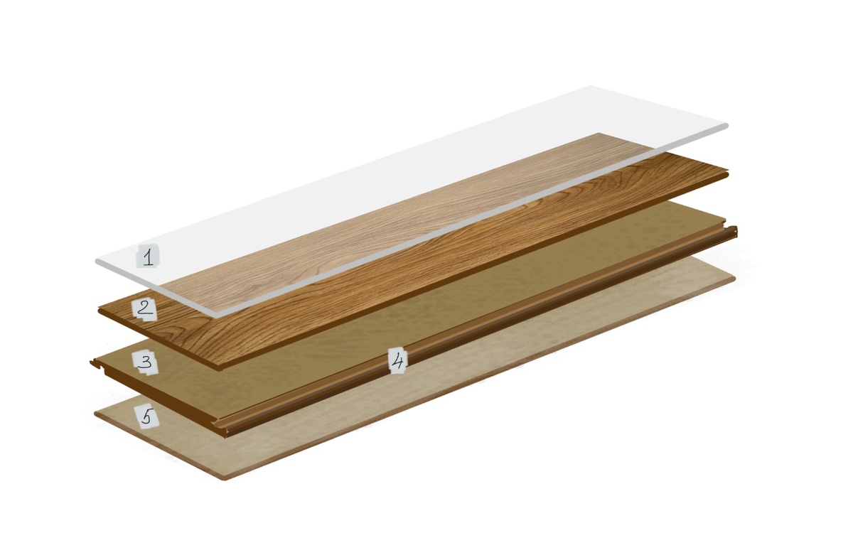 Слои ламината