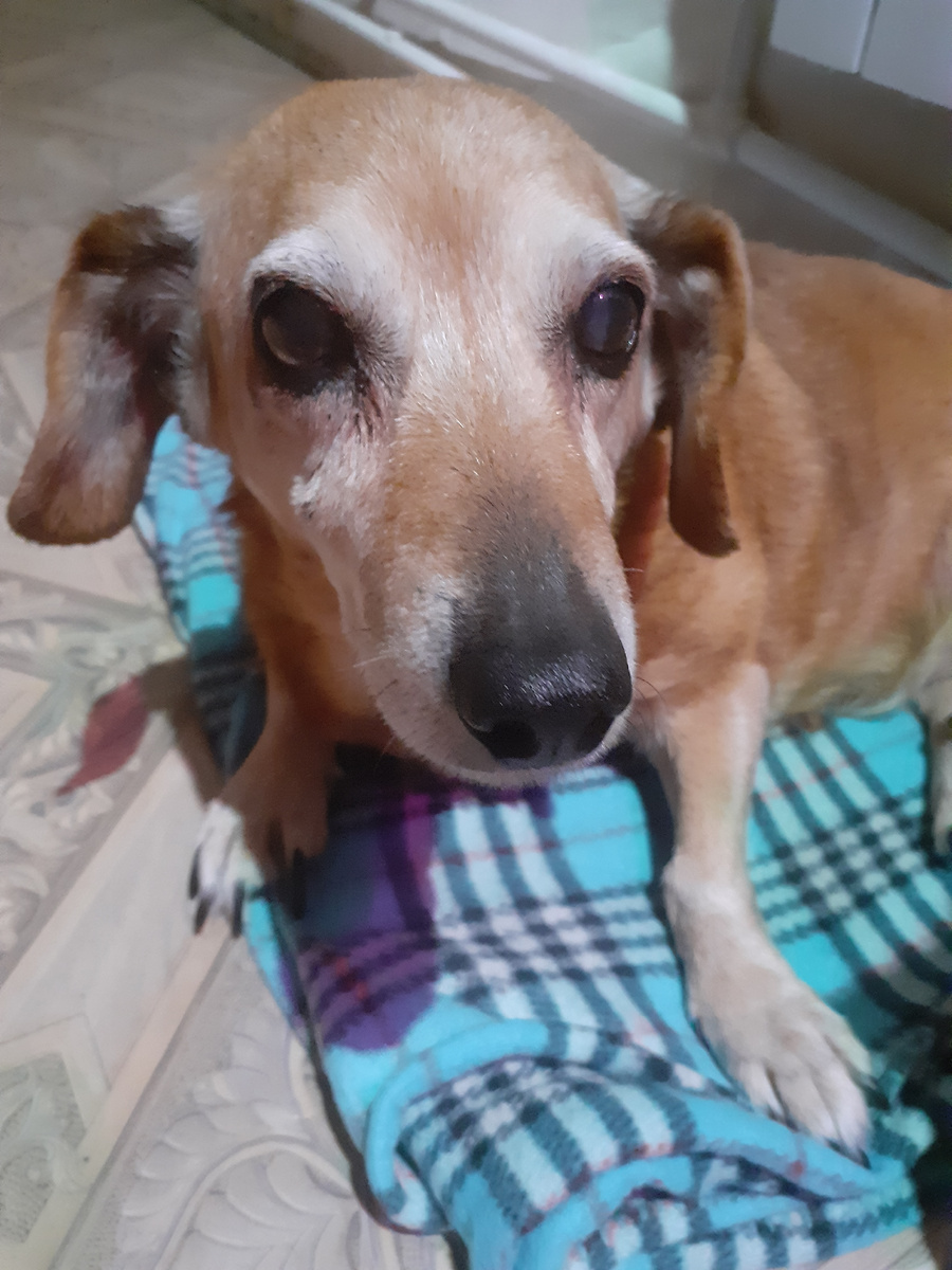 Я или не я....