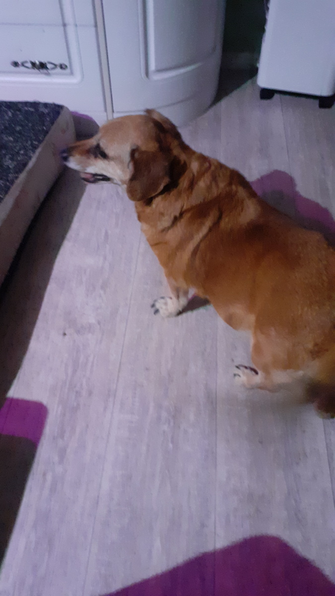 Кроватка моя