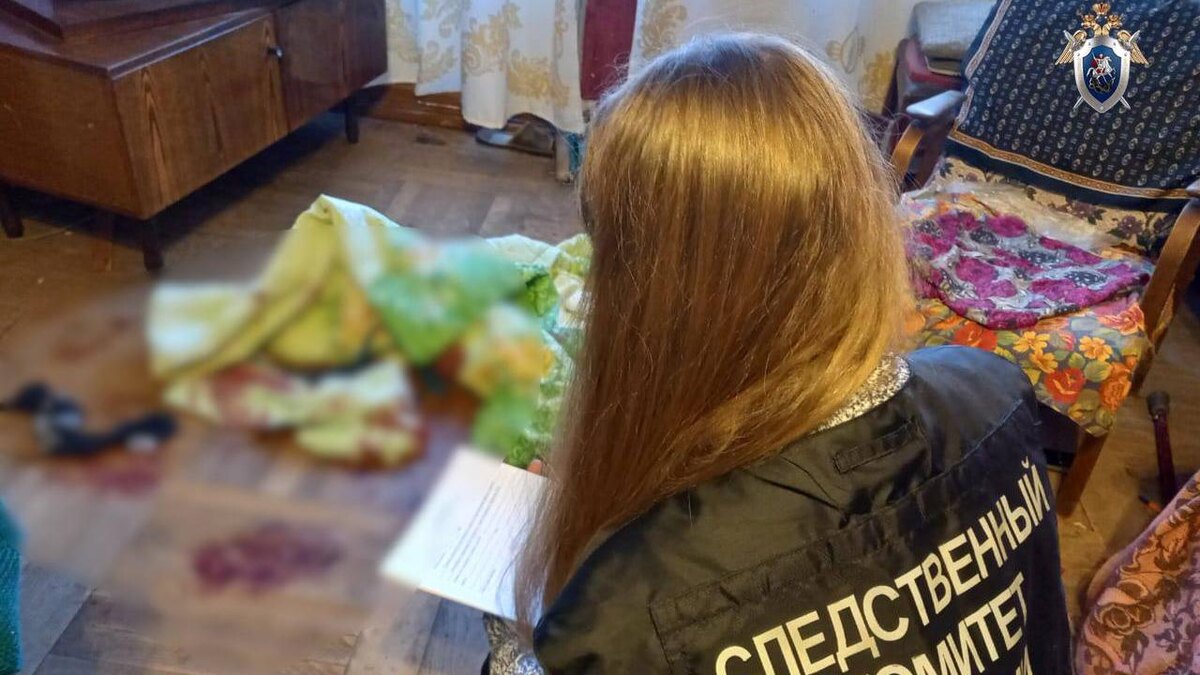    Фото: t.me/gsuskrf_spb