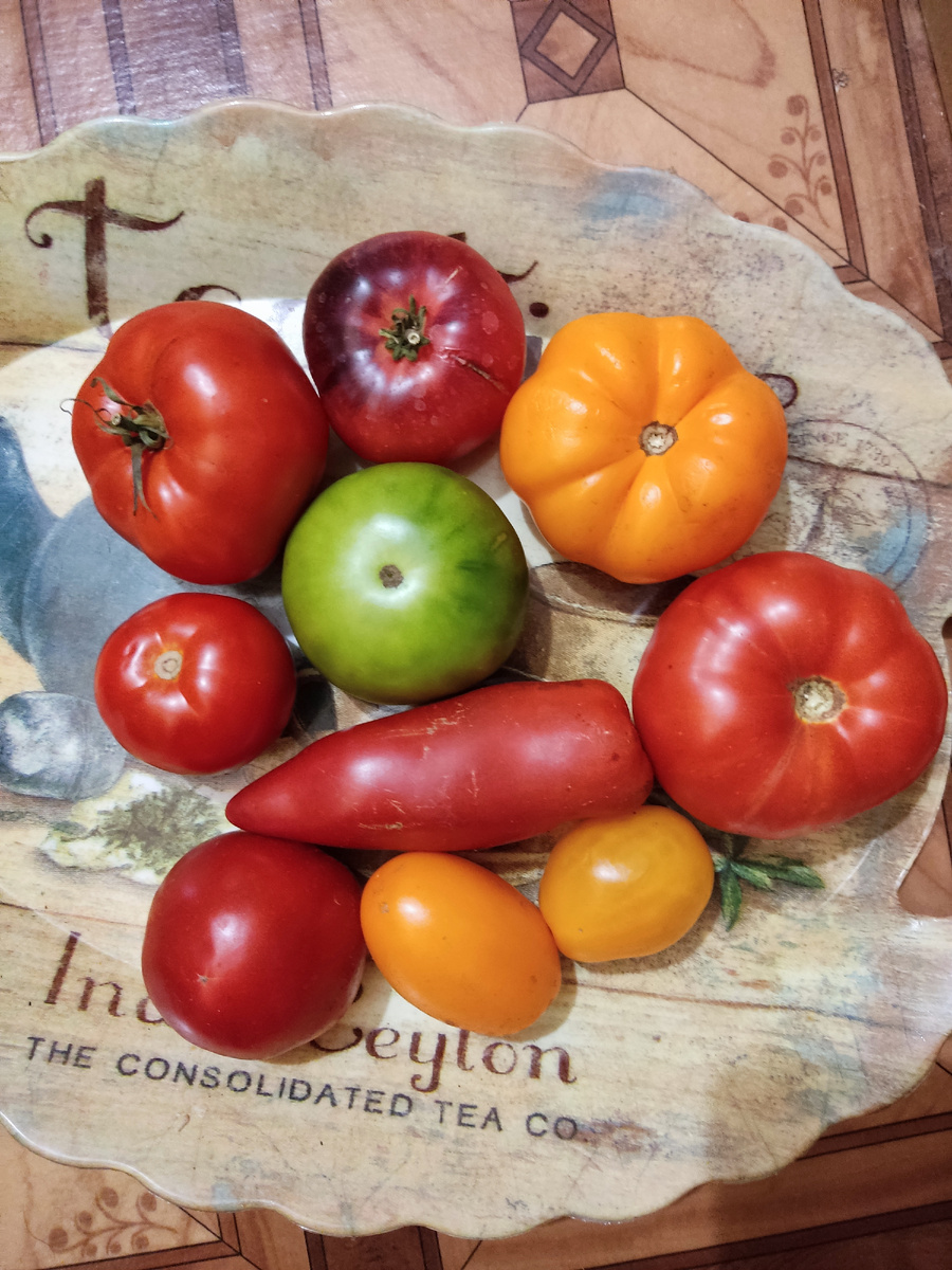 фото автора