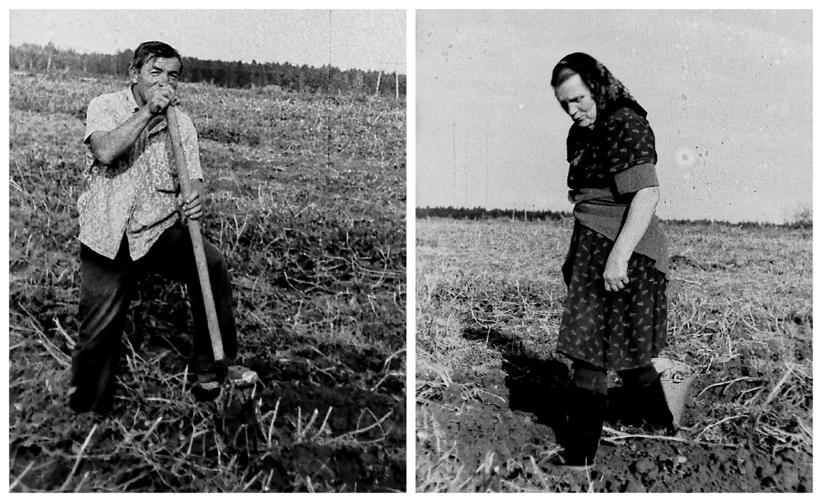 Мои родители всю жизнь пребывали в труде. Фото из личного архива автора.
