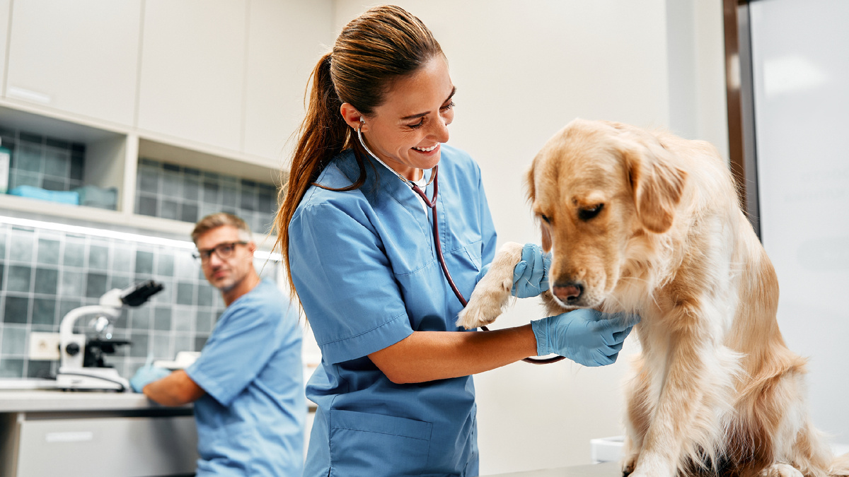 Фото: ORION PRODUCTION / Shutterstock.com