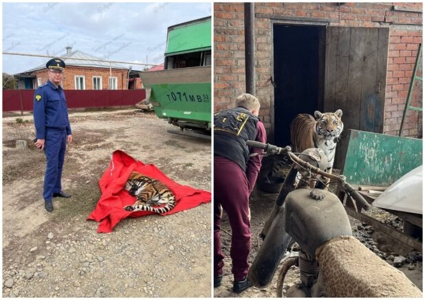    Фото: соцсети