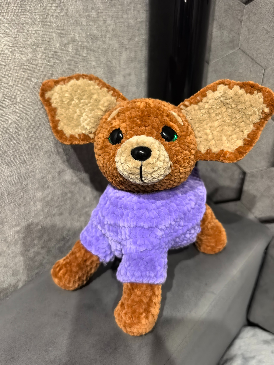 Собачка с авантюры