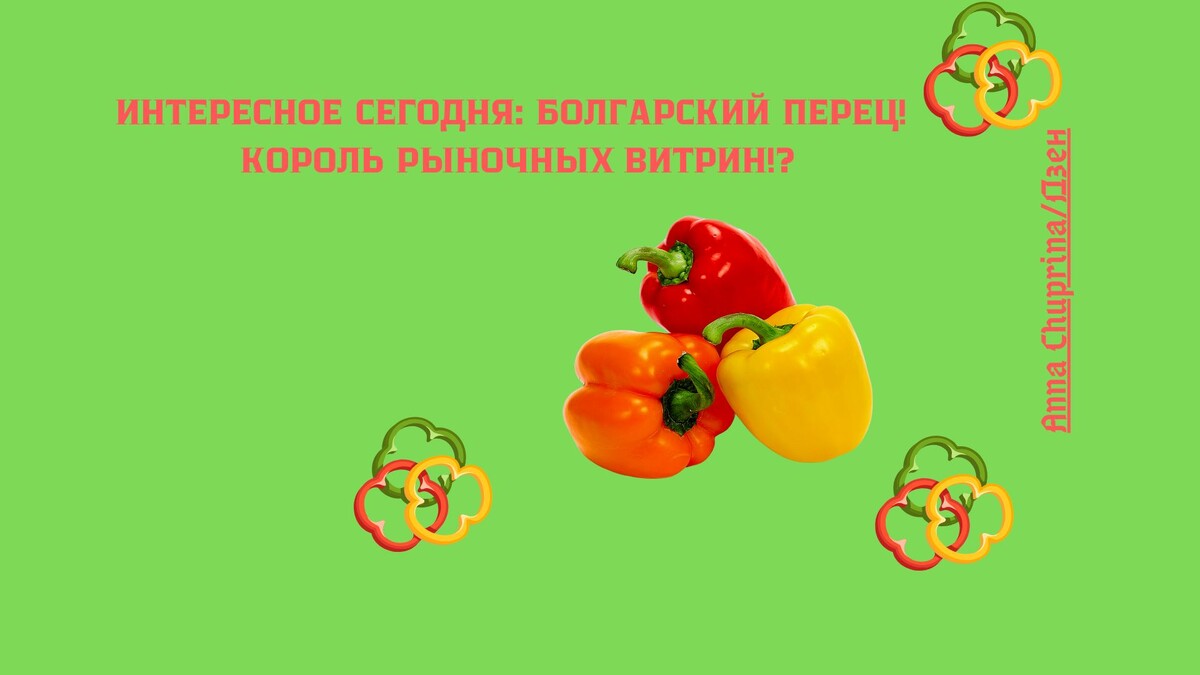 Рубрика/Интересное сегодня: БОЛГАРСКИЙ ПЕРЕЦ! Король рыночных витрин!?/Anna Chuprina