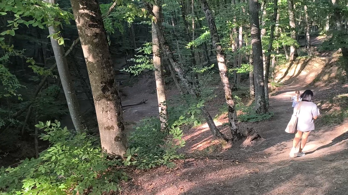 ГИдём к водопаду центрального леса города Фото: Книга Приключений