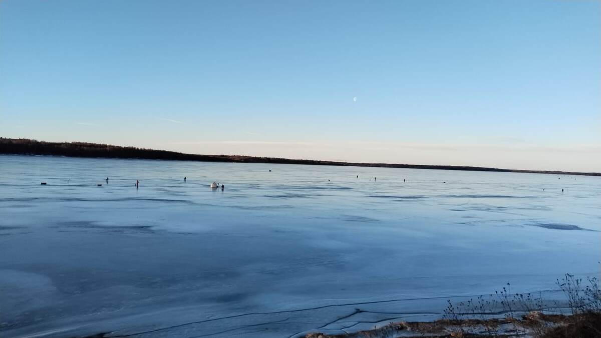 Вид на Рузское водохранилище, 19.01.25