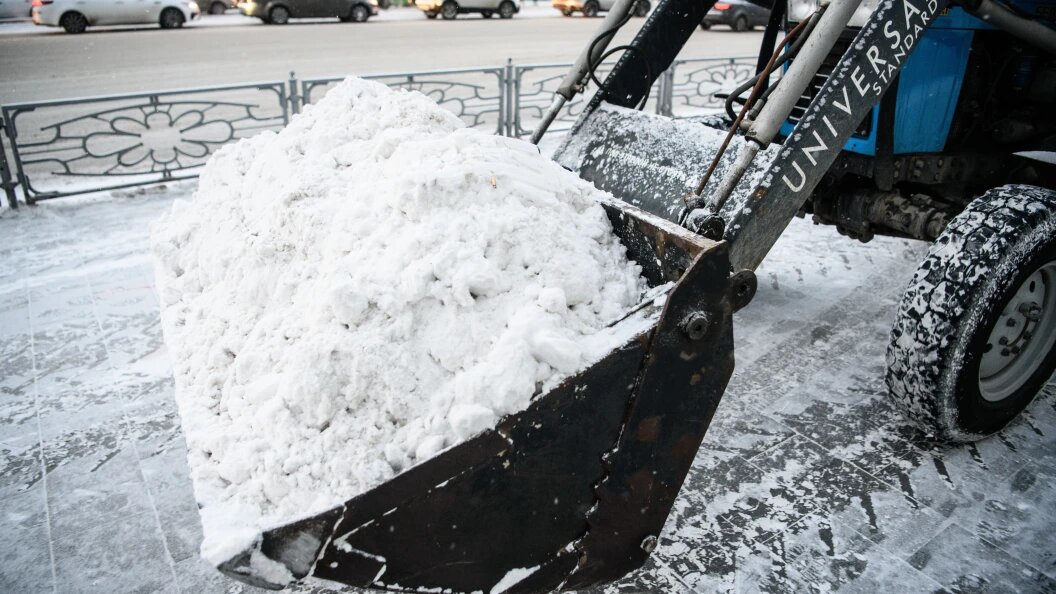    ФОТО: Ilya Moskovets/Globallookpress