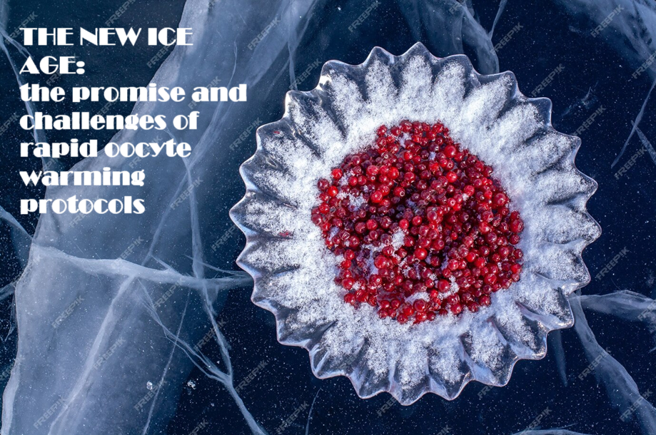 Bartolacci, A., Albertini, D.F. The new ice age: the promise and challenges of rapid oocyte warming protocols. J Assist Reprod Genet 41, 2969–2971 (2024). https://doi.org/10.1007/s10815-024-03315-2