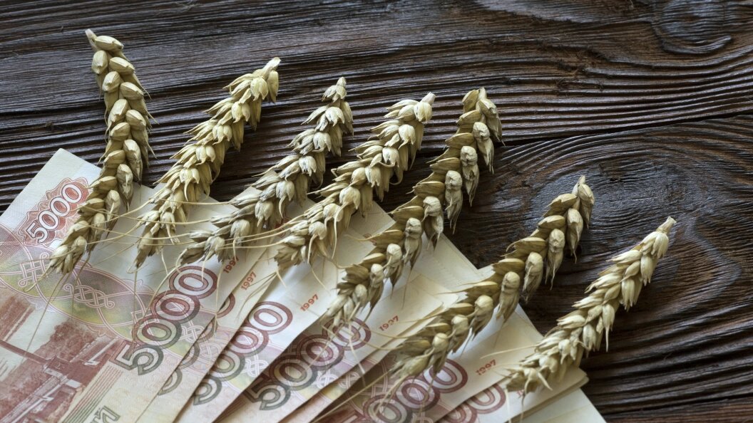    Фото: Nikolay Gyngazov/Global Look Press