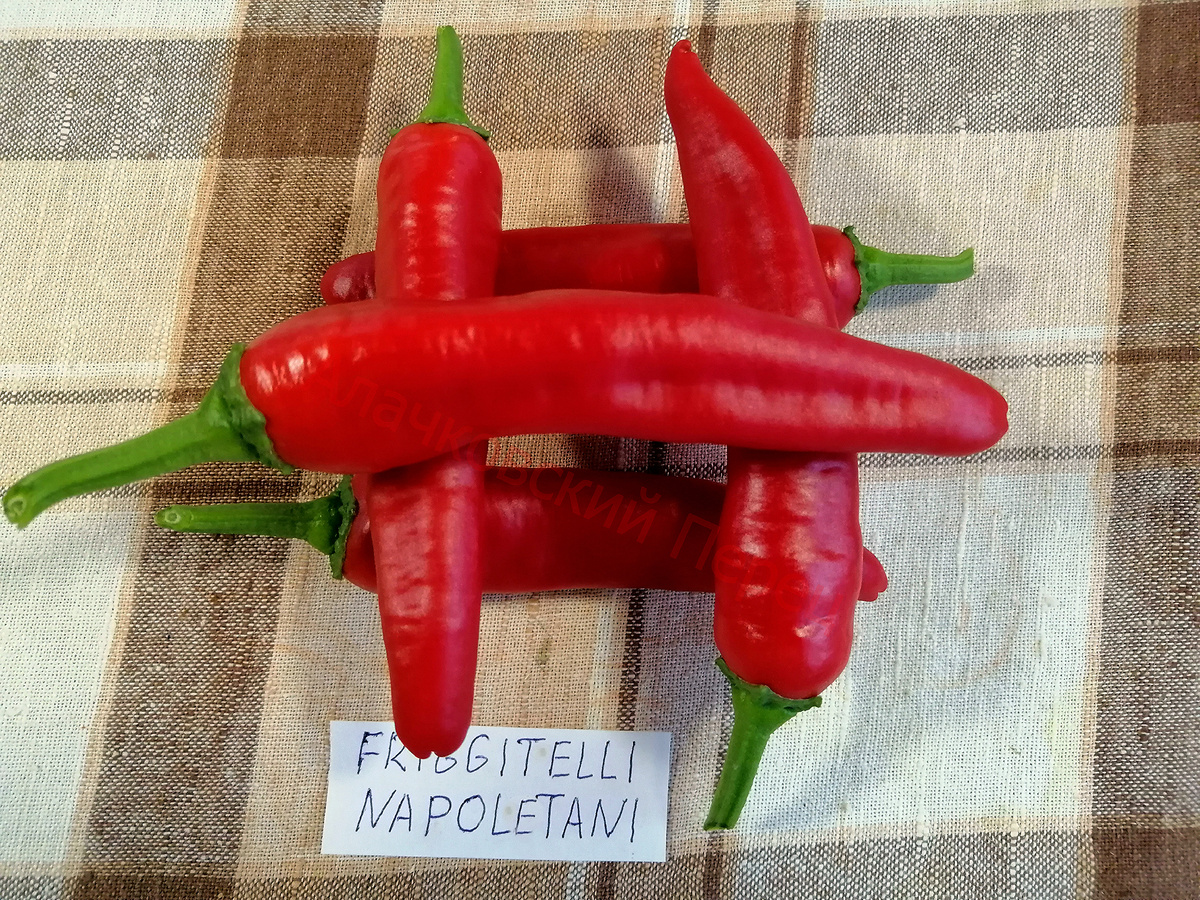 Friggitelli Napoletani (Неаполитанский для жарки)