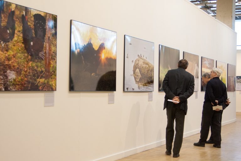    Фото: Общественная служба новостей Алина Колупаева